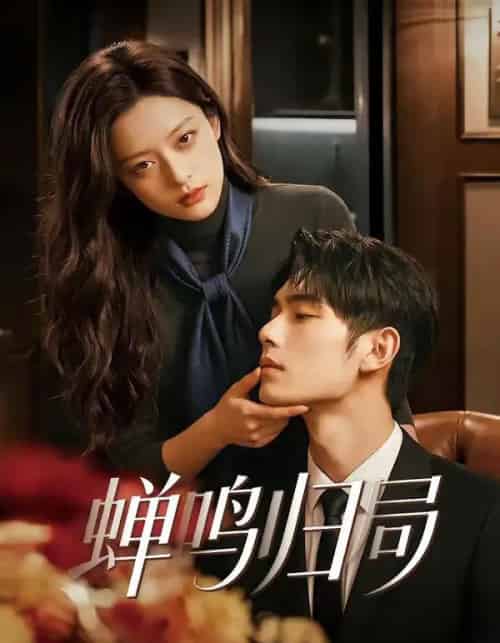 蝉鸣归局(48集全)-搜外项目网
