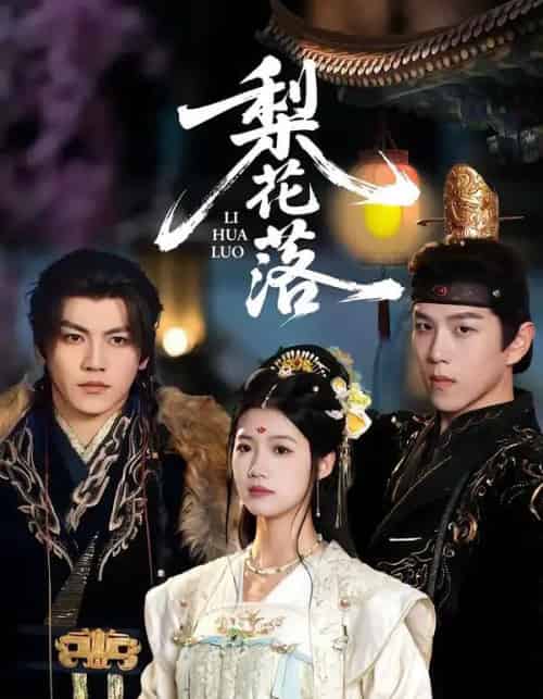 梨花落(60集全)罗嘉麒&洁慧-搜外项目网