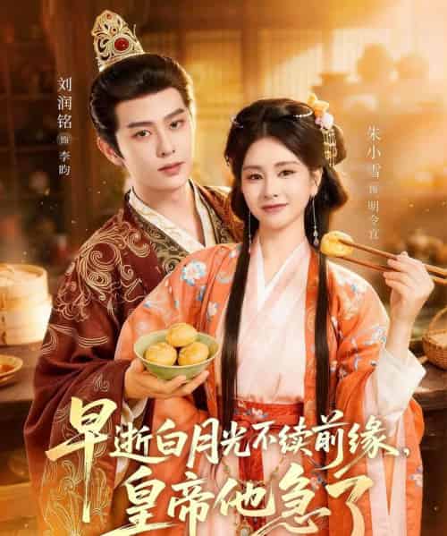 早逝白月光不续前缘,皇帝他急了(68集全)朱小雪&刘润铭-搜外项目网