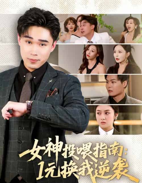 女神投喂指南:1元换我逆袭(80集全)刘琪&赵海豫宁-搜外项目网
