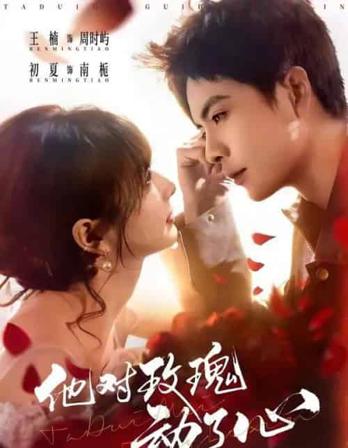 他对玫瑰动了心(68集全)王楠&初夏-搜外项目网