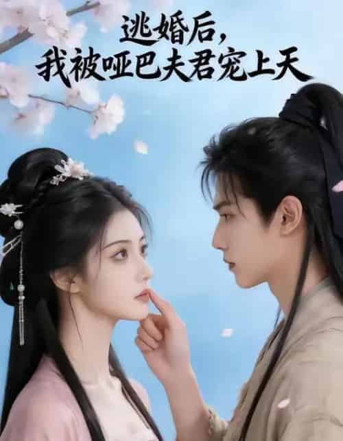 逃婚后,我被哑巴夫君宠上天(61集全)AI-搜外项目网