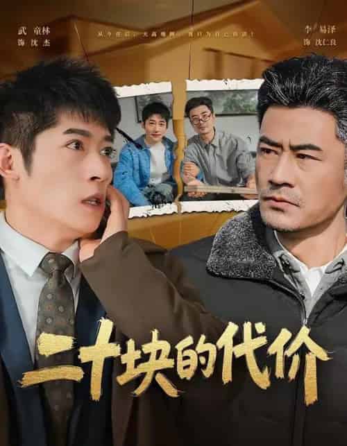 二十块的代价(64集全)李易泽&陈旭-搜外项目网