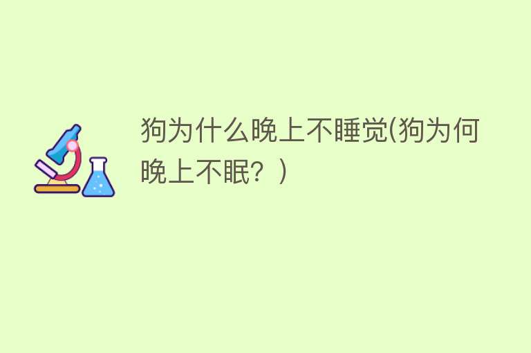 狗为什么晚上不睡觉(狗为何晚上不眠？)