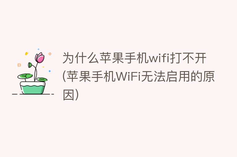 为什么苹果手机wifi打不开(苹果手机WiFi无法启用的原因)