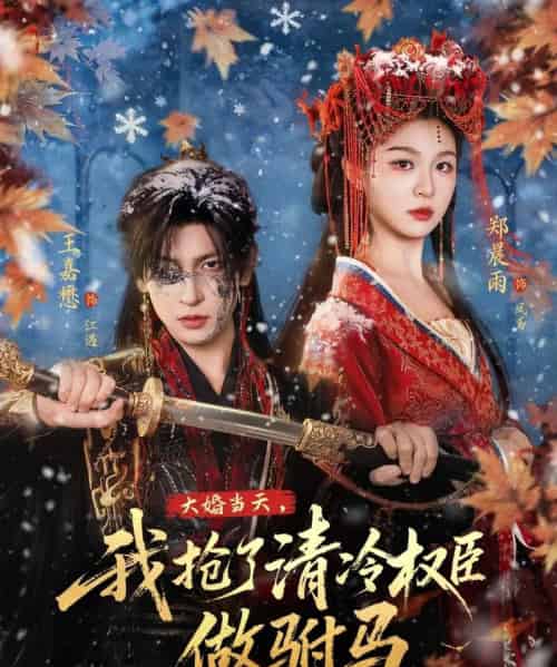 大婚当天,我抢了清冷权臣做驸马(73集全)王嘉懋&郑晨雨-搜外项目网