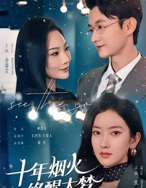 十年烟火,终醒大梦(60集全)珑一&张张(张玉娇)-搜外项目网