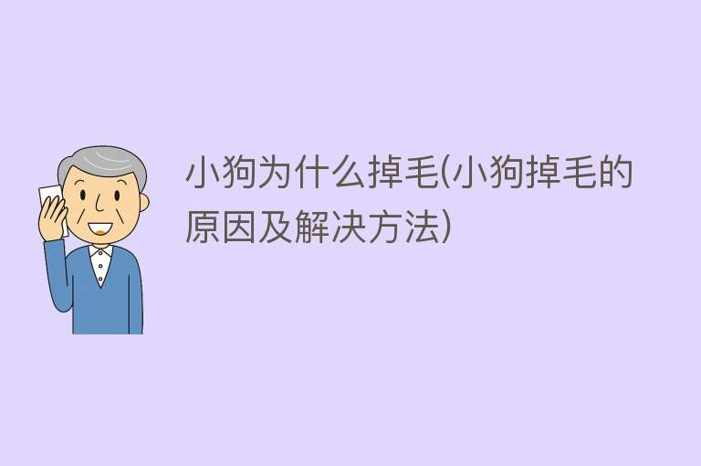 小狗为什么掉毛(小狗掉毛的原因及解决方法)