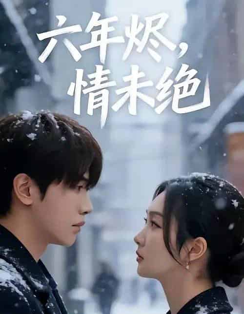 六年烬,情未绝(79集全)王俊哲&陶思沂-搜外项目网