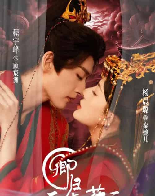 卿归正值榕花开(70集全)程宇峰&杨晨璐-搜外项目网