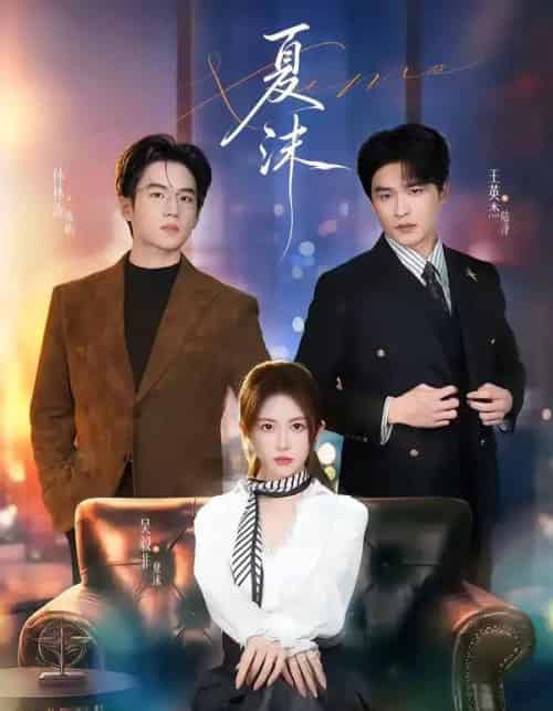 夏沫(65集全)王英杰&一飞-搜外项目网
