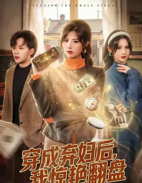 穿成弃妇后,我惊艳翻盘(67集全)黄宁馨&随嘉兴-搜外项目网