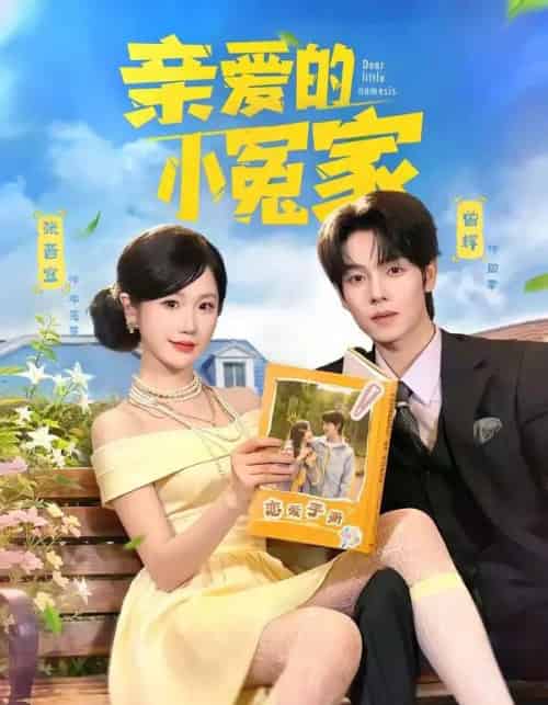 亲爱的小冤家(80集全)曾辉&张晋宜-搜外项目网