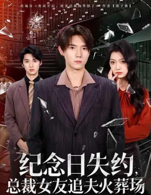 纪念日失约,总裁女友追夫火葬场(80集全)勉瑞云&姜焕文-搜外项目网
