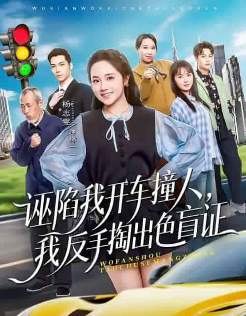 诬陷我开车撞人,我反手掏出色盲证(70集全)王俊杰&杨志雯-搜外项目网