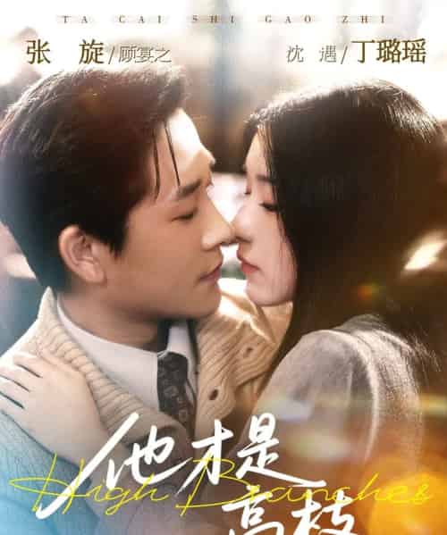 他才是高枝(77集全)张旋&丁璐瑶-搜外项目网