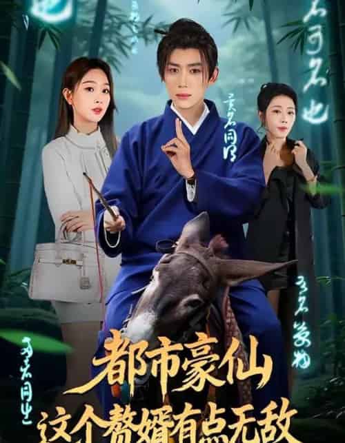 都市豪仙,这个赘婿有点无敌(84集全)刘檀嘉&彭千玲-搜外项目网