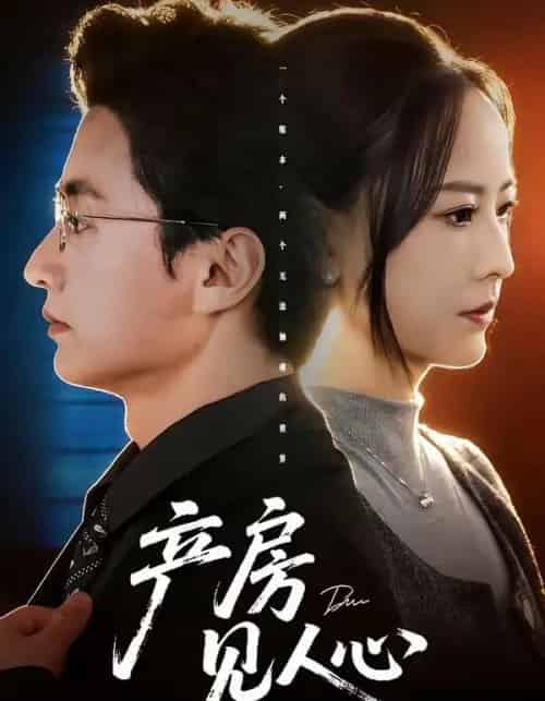 产房见人心(98集全)珑一&任燕-搜外项目网