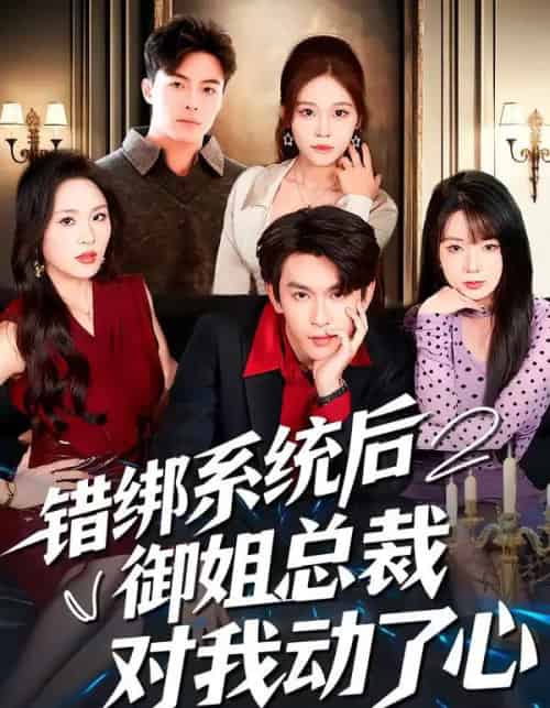 错绑系统后御姐总裁对我动了心(60集全)沈照程&郑洋-搜外项目网