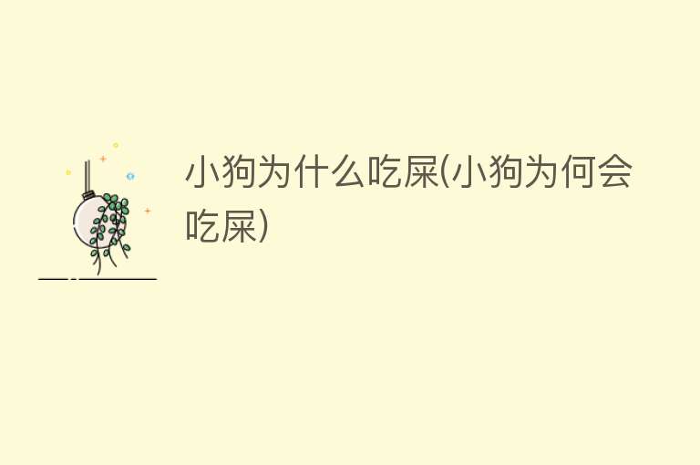 小狗为什么吃屎(小狗为何会吃屎)