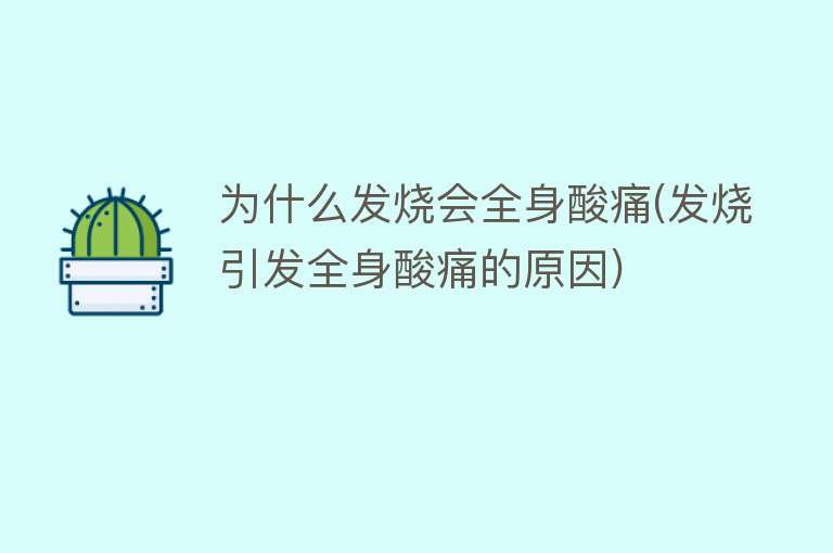 为什么发烧会全身酸痛(发烧引发全身酸痛的原因)