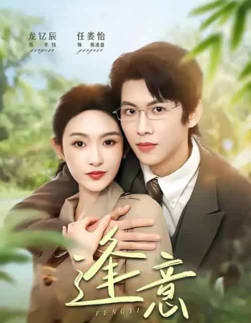 逢意(90集全)龙钇辰&任娄怡-搜外项目网