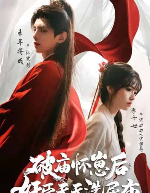 破庙怀崽后,奸臣天天洗尿布(80集全)王年将成&李十七 (2026-搜外项目网