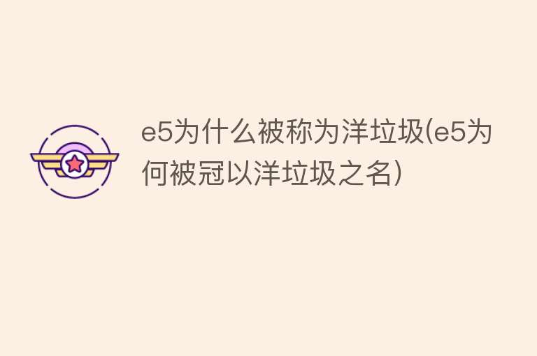 e5为什么被称为洋垃圾(e5为何被冠以洋垃圾之名)