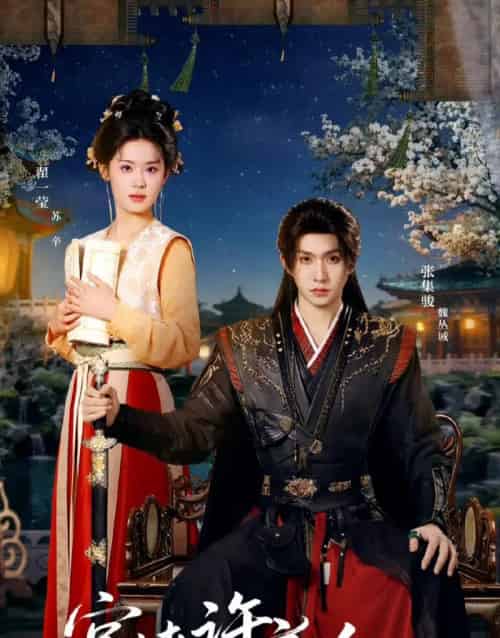 宫墙许良人(67集全)张集骏&翟一莹-搜外项目网