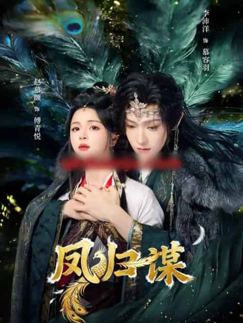 凤归谋(60集全)李沛洋&赵慕颜-搜外项目网