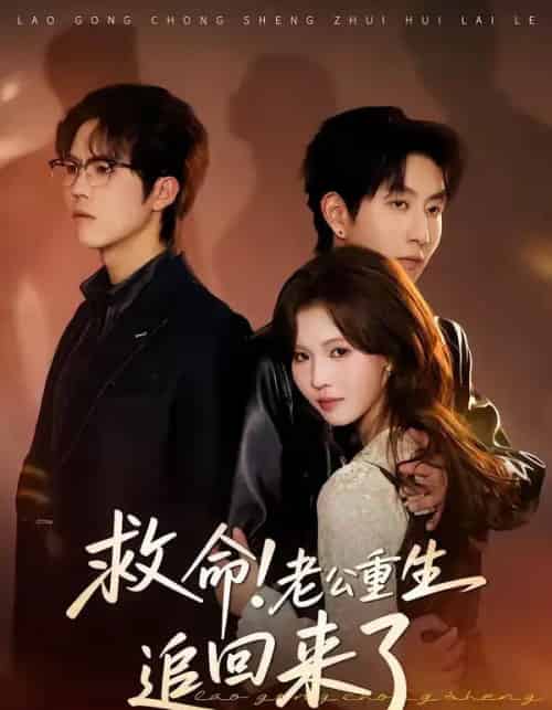 救命!老公重生追回来了(40集全)丁紫嫣&戴睿-搜外项目网