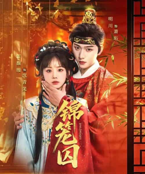 锦笼囚(60集全)明川&雷馥缦-搜外项目网