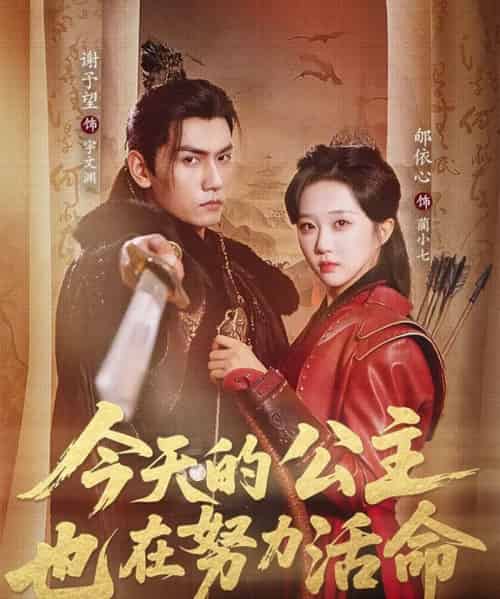 今天的公主也在努力活命(61集全)郇依心&谢予望-搜外项目网