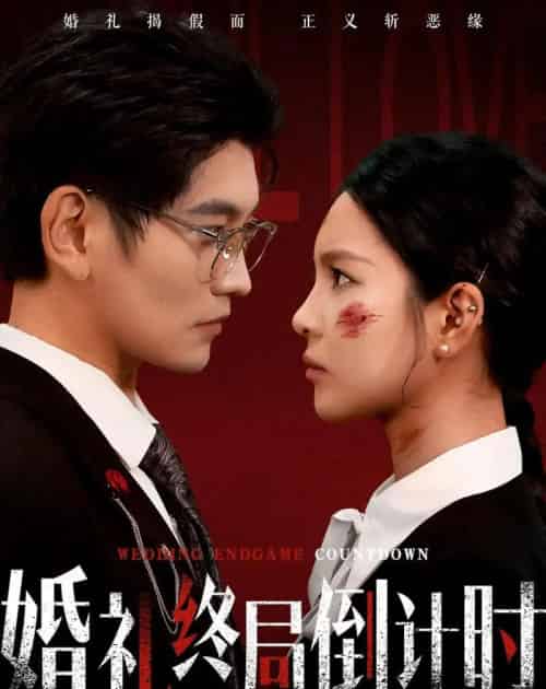 婚礼终局倒计时(60集全)宸天&余卓阳-搜外项目网
