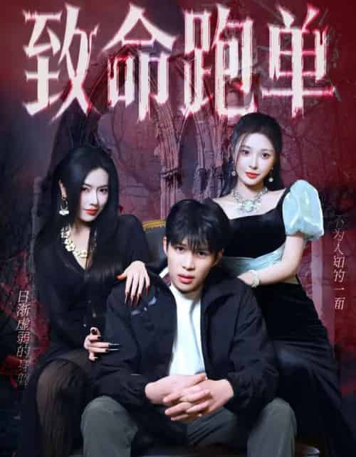 致命跑单(62集全)李瞳潼&辛润茜-搜外项目网