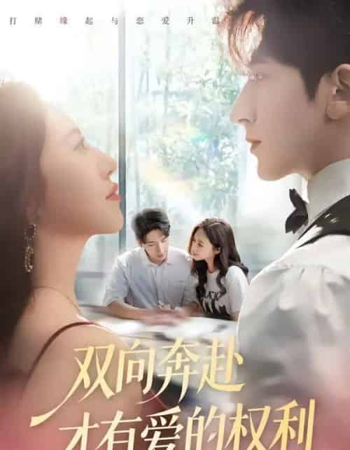 双向奔赴才有爱的权利(80集全)六一&斯坎-搜外项目网