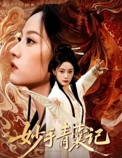 妙手青囊记(61集全)李铭&林动动-搜外项目网