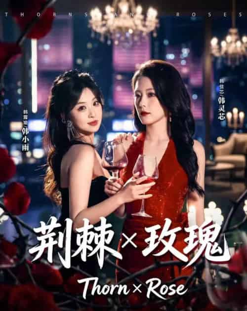 荆棘X玫瑰(59集全)韩佳芯&韩露瑜-搜外项目网