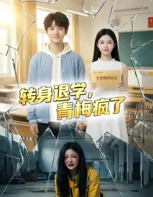 转身退学,青梅疯了(60集全)AI-搜外项目网