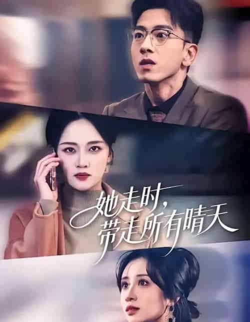 她走时,带走所有晴天(78集全)孙飞翔&罗玮-搜外项目网