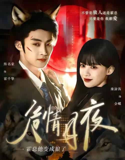危情月夜:霍总他变成狼了(70集全)陈名豪&康渝茜-搜外项目网