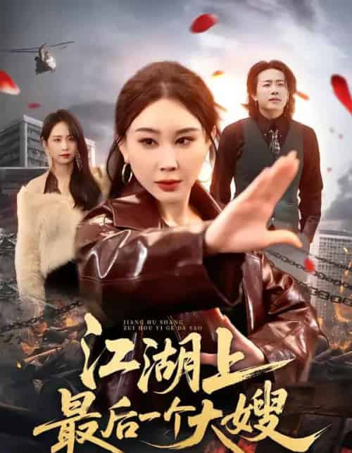 江湖上最后一个大嫂(32集全)王奕斐&王耀廷-搜外项目网