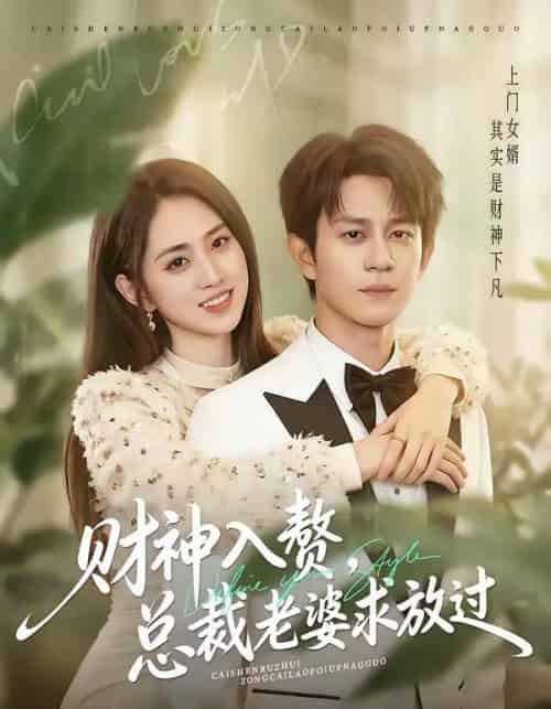 财神入赘,总裁老婆求放过(60集全)董劭辉&李晓雨-搜外项目网