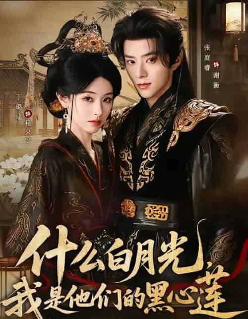 什么白月光,我是他们的黑心莲(79集全)张庭睿&丁璐瑶-搜外项目网