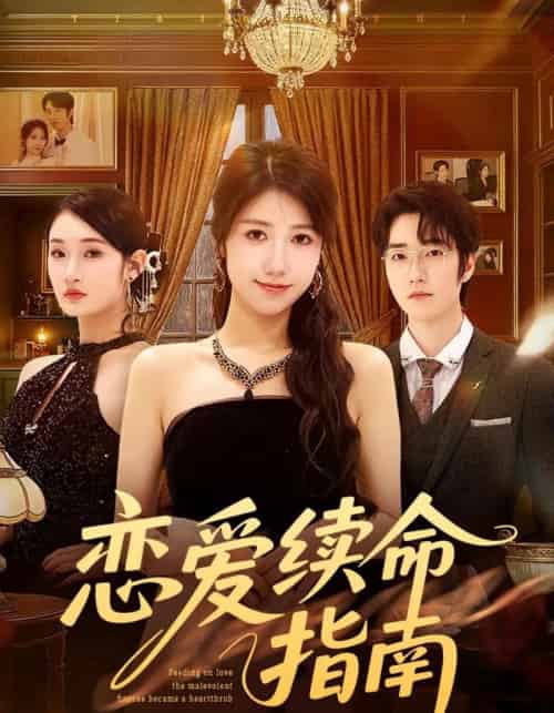 恋爱续命指南(67集全)周子若&金林石-搜外项目网