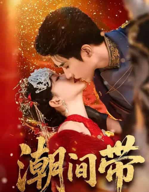 潮间带(75集全)李柏言&诗越越-搜外项目网