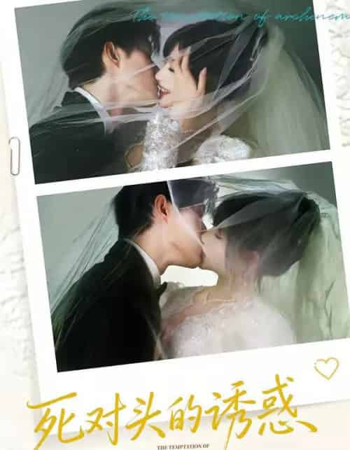 死对头的诱惑(77集全)谢熠柯&刘浔-搜外项目网