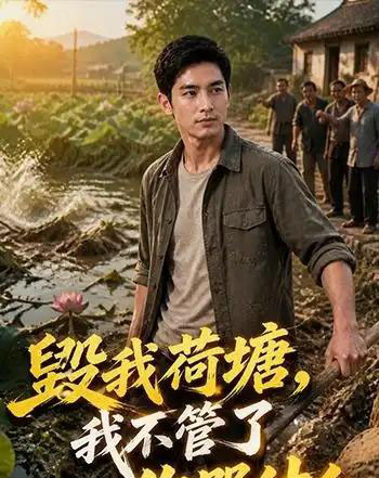 毁我荷塘我不管了你哭什么(36集全)-搜外项目网