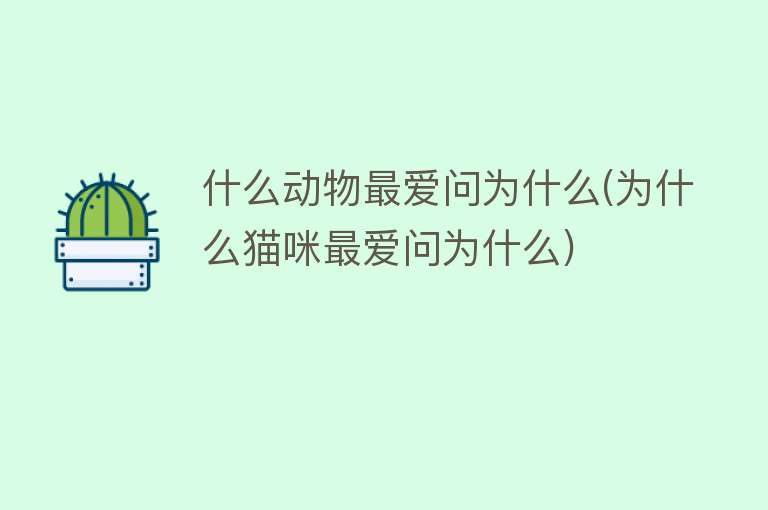 什么动物最爱问为什么(为什么猫咪最爱问为什么)