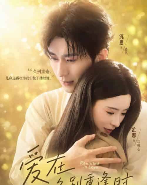 爱在久别重逢时(85集全)沉思&孟娜-搜外项目网